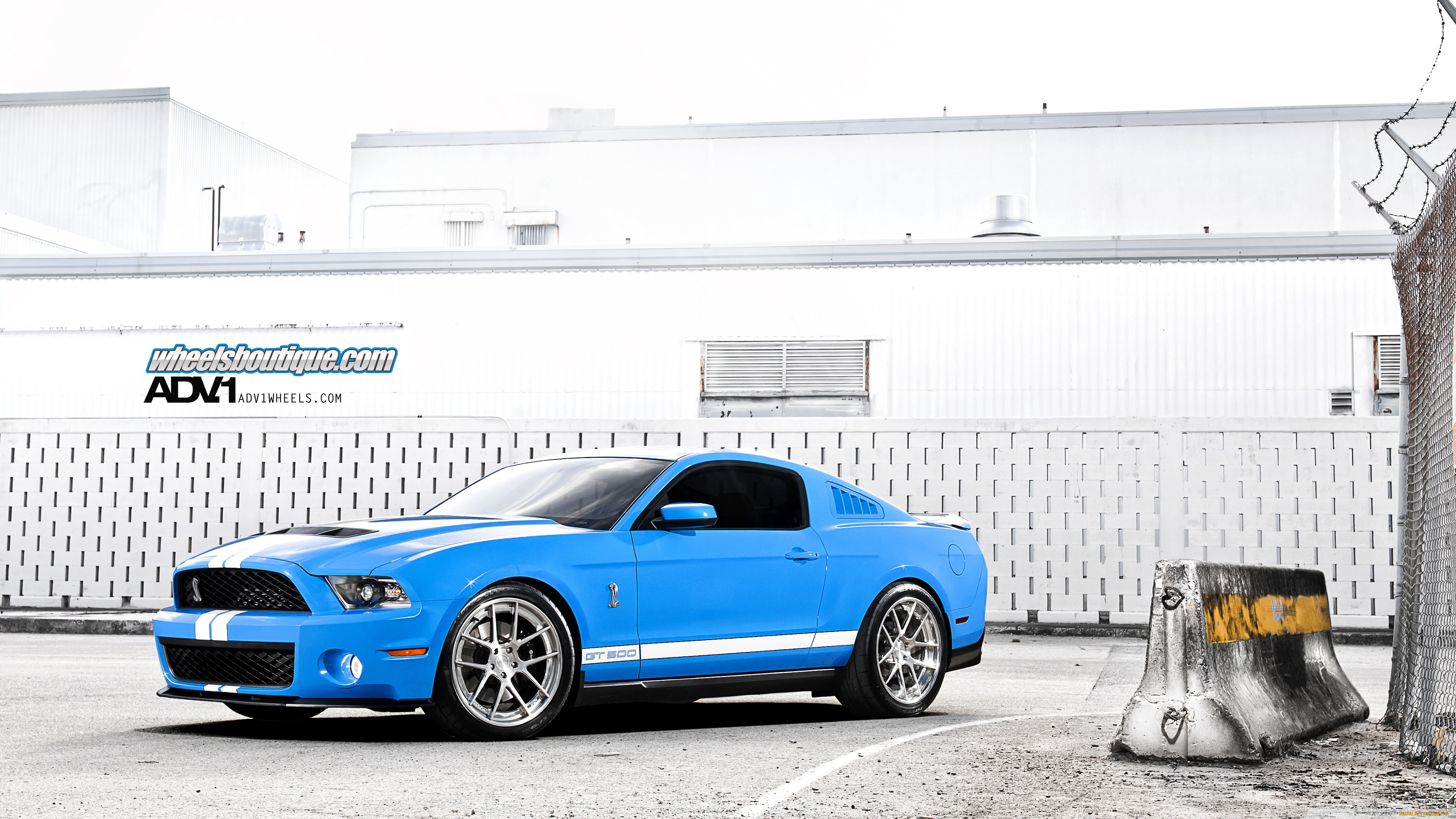 , mustang, auto